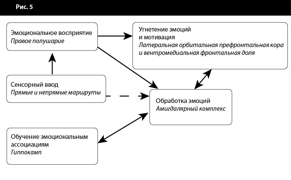 Контроль эмоционального ответа