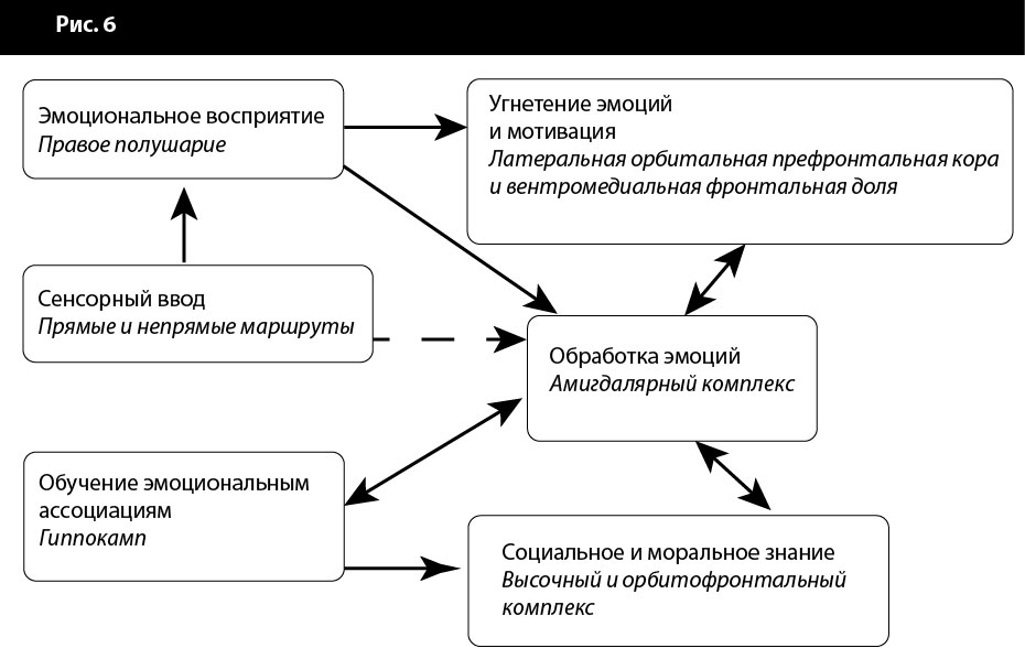 механизмы памяти и знания